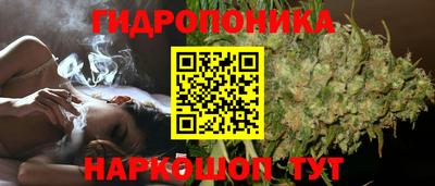 каннабис Шелехов