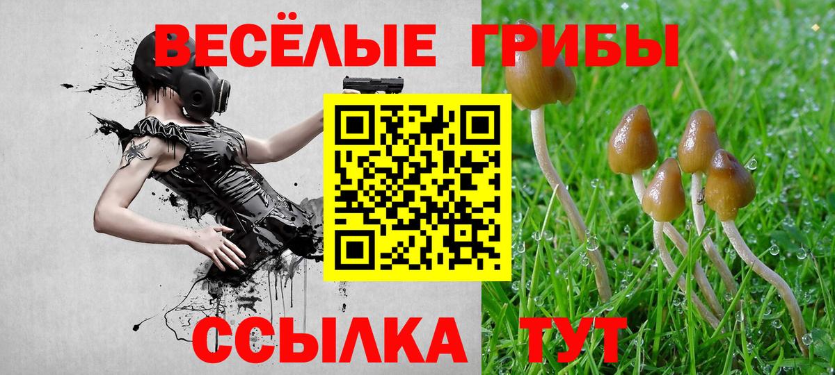 Псилоцибиновые грибы мицелий  Галлюциногенные грибы Cubensis  Михайловск  Вход с VPN 