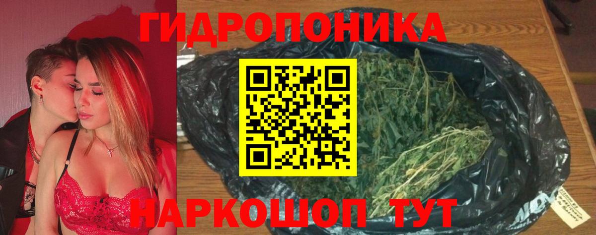 Канабис план Михайловск